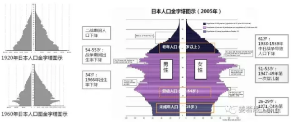 图9 日本人口金字塔