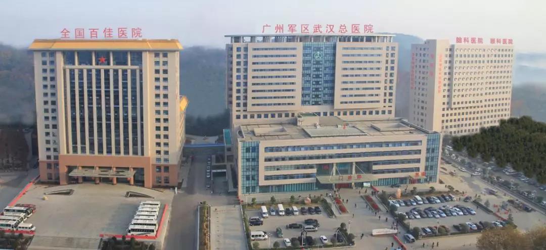 共同成立中部战区总医院,并在原广州军区武汉总医院的基础上更名组建