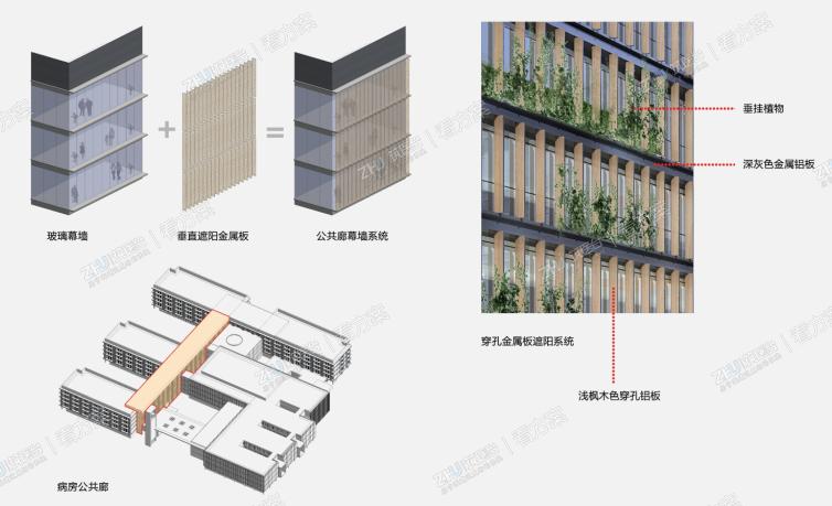 “生态连廊”
病房公共廊为南北向玻璃通廊，外侧垂直设置枫木色穿孔铝板，一方面起到遮阳作用，同时也丰富了光影效果，结合垂直绿化设置，体现生态的主题。
