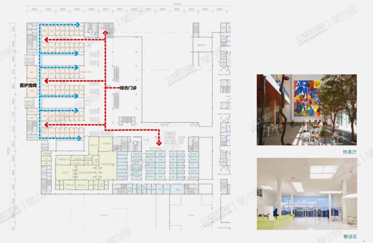 综合门诊流线图