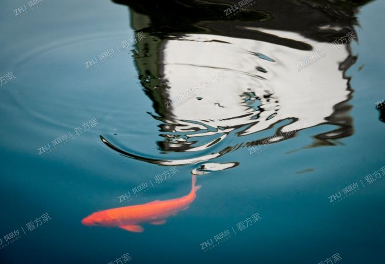 设计理念:苏州园林是苏州最特别的名片。
提取城市中最具特点的元素：水为贯穿本次设计的概念。
水活物也，其形欲深静、欲柔滑、欲汪洋、欲迴环、欲肥腻、欲喷薄……
水是生命之源