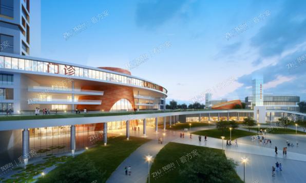 场地定制化设计
为化解由于基地高差导致的进入建筑流线不便的问题，方案将门诊、急诊、住院等主要入口皆设置于负一层，入口处的架空层设计使患者可以从与城市道路等高的院区广场平接进入建筑内部。
