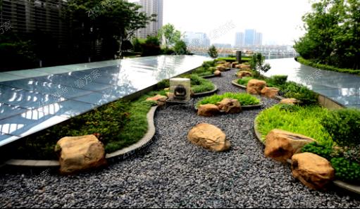 景观示意图