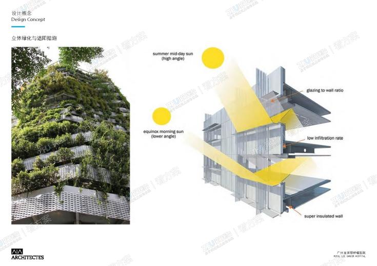 立体绿化与遮阳措施