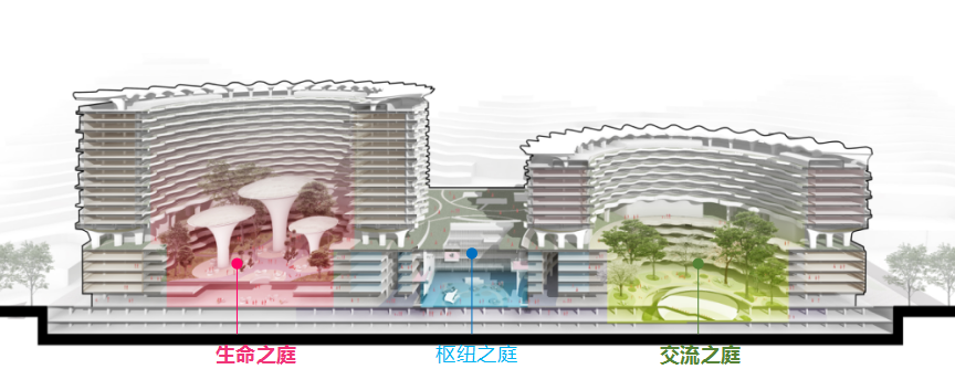图片19.png