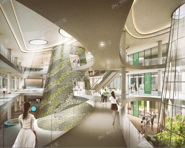 无处不在的康复植物及生命之水
