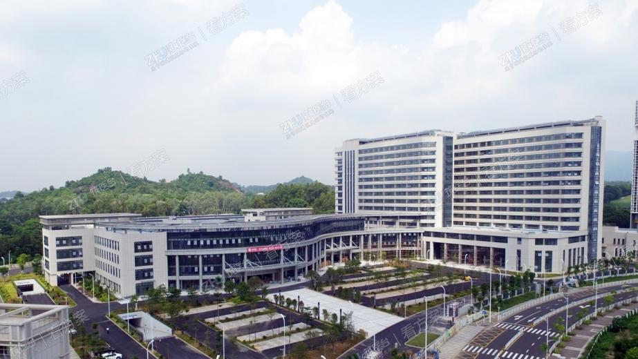 东南方向鸟瞰图

