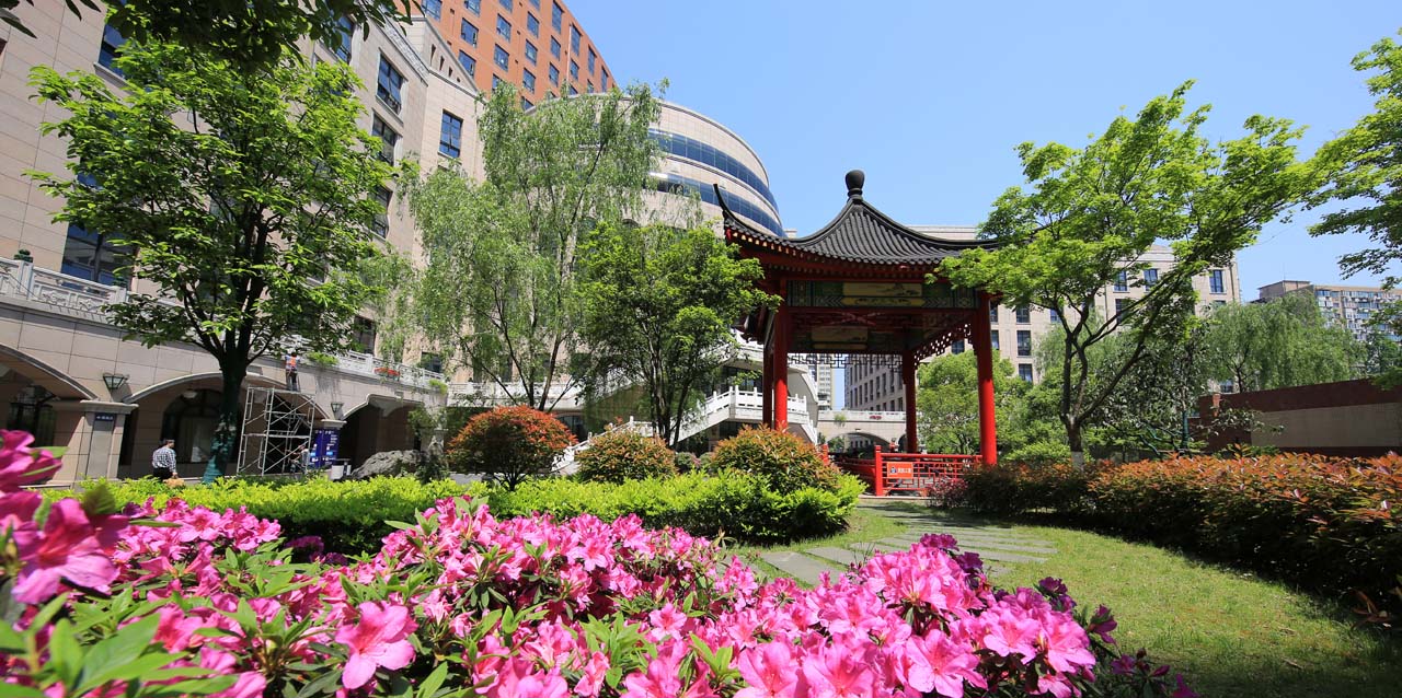 内庭院