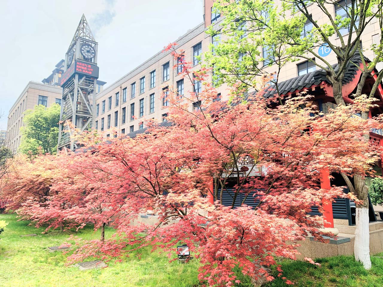 内庭院