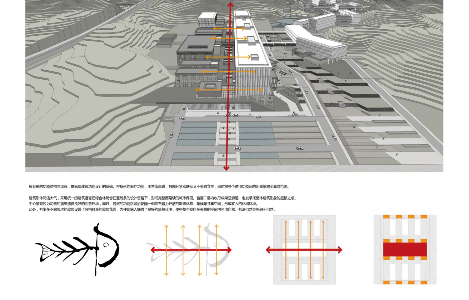 经典的鱼骨状医疗建筑模式 
医院设计采用经典的鱼骨状布局，流线紧凑，结构清晰。
