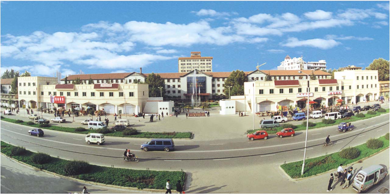 西安交通大学第一附属医院老院区全景图