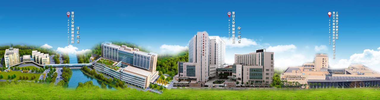 复旦大学附属肿瘤医院形成了“一体两翼”（徐汇院区+浦东院区+质子重离子中心）的发展格局