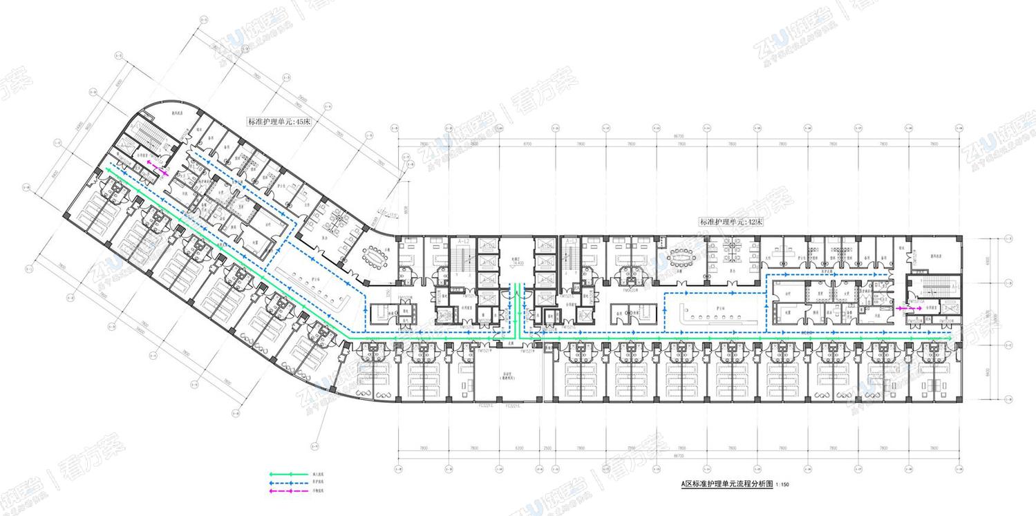 标准护理单元平面流线分析图
