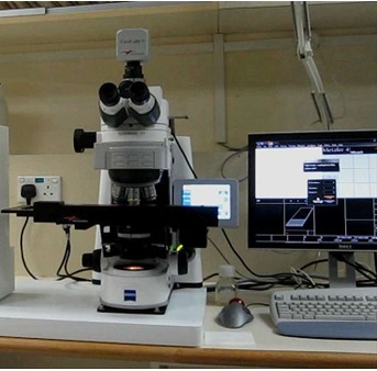 遗传扫描分析系统