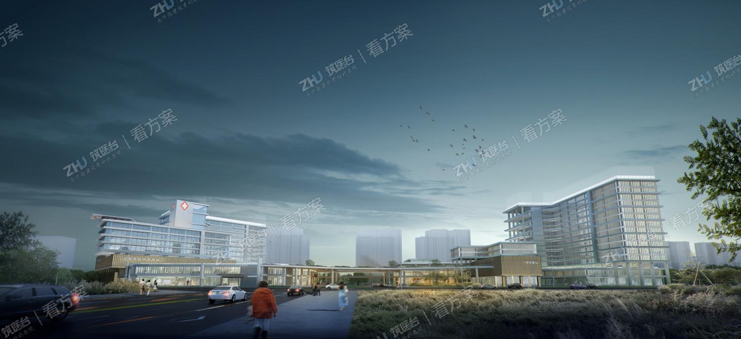 成都市龙泉驿区中医医院沿街夜景透视图