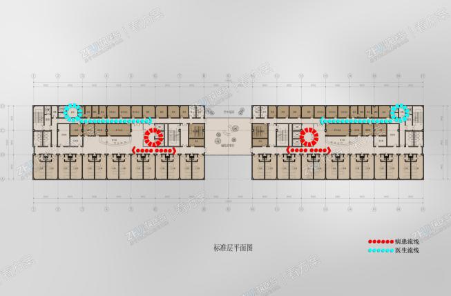 医院标准层平面流线图