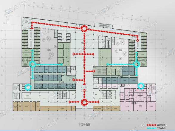 医院一层平面流线图