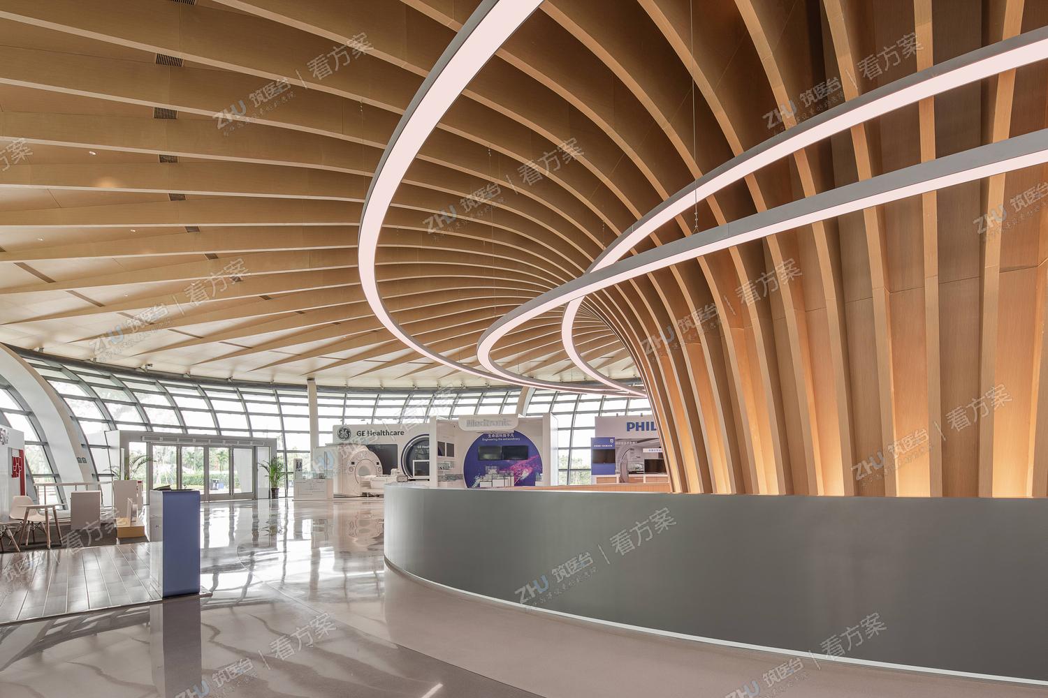 生命之树©时浩