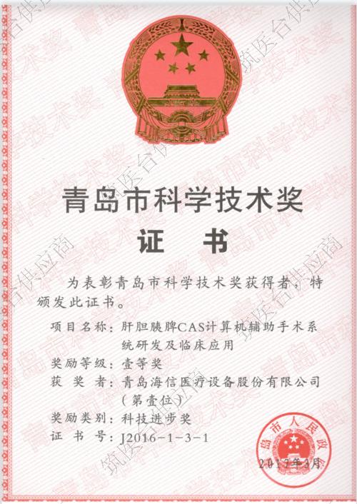 青岛市科学技术奖证书