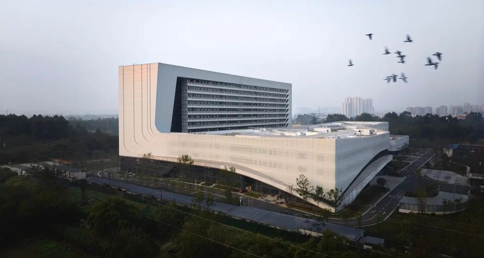 邛崃市中医医院：纯粹之美 艺术之美 思辨之美